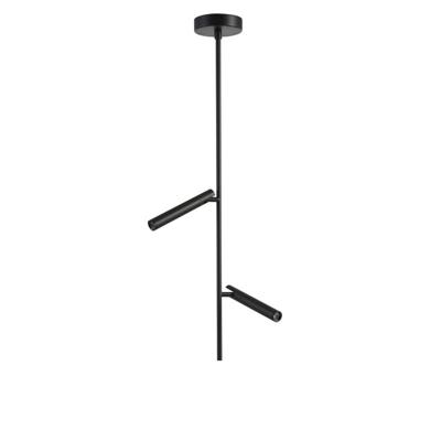 Lyora Moderne led plafondlampNydle 2-lichts - 107082