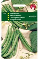 Stokslabonen Westlandse Dubbele Z.Dr. - Tuinplus