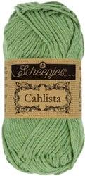 Scheepjes Cahlista 212 Sage Green