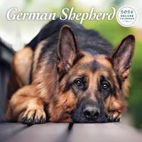 Duitse Herder Kalender 2026 Deluxe