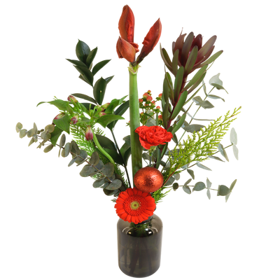 Amaryllis rood + opmaak inclusief glazen vaas