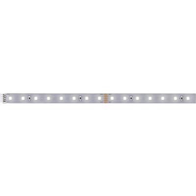 Paulmann MaxLED 500 71240 LED-strip 24 V/DC 1 m Neutraalwit 1 stuk(s)