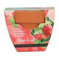 Grow gifts kweekset groeicadeautje aardbei - Buzzy