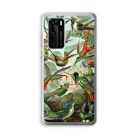 Haeckel Trochilidae: Huawei P40 Transparant Hoesje