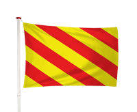 Vlag Sassenheim