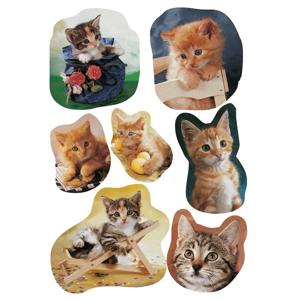 Katten/poezen dieren stickers - 63x stuks op vel - kinderstickers