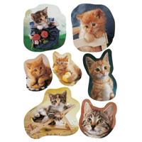 Katten/poezen dieren stickers - 63x stuks op vel - kinderstickers