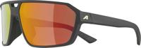 Alpina Swift - Sports Glasses