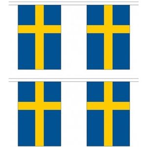 2x Buiten vlaggenlijnen Zweden 3 meter