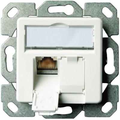 Telegärtner 100000007 Netwerkdoos Inbouw (in muur) Inzet met centraalstuk CAT 6A 2 poorten Alpine-wit