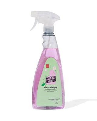 HEMA Allesreiniger 750ml HEMA Allesreiniger 750ml