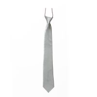 Carnaval verkleed accessoires stropdas zijdeglans - zilver - polyester - heren/dames   - - thumbnail
