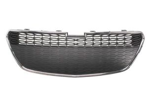 Radiateurgrille 6502071120993P