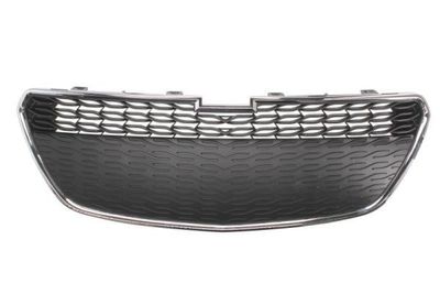 Radiateurgrille 6502071120993P