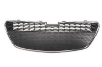 Radiateurgrille 6502071120993P