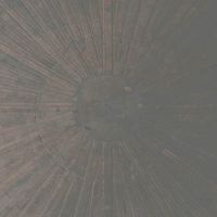 Selva Oscura - CD (0656605331225) - thumbnail