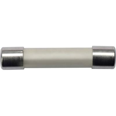 Schützinger SICH 6.35x32 1000V 1.6 A DMI SICH 6.35x32 1000V 1.6 A DMI Buiszekering (Ø x l) 6.35 mm x 32 mm 1.6 A 1000 V Inhoud 10 stuk(s)