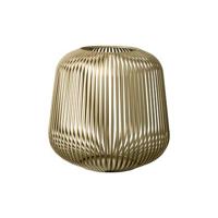 Lito Lantaarn Champagne Medium | Geel | Goud | Staal