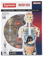 Supreme figurine anatomique d'homme - Multicolore Supreme figurine anatomique d'homme - Multicolore