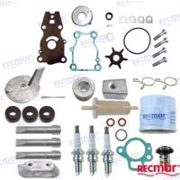 REPUESTOS MOTORES RECKITF40B - KIT MANTENIMIENTO YAMAHA