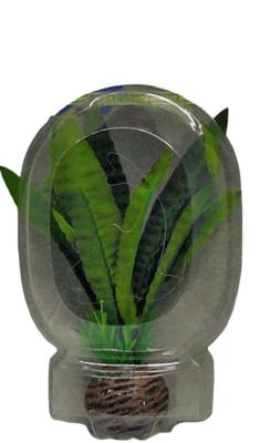 Superfish easy plant laag 13 cm nr. 4 - Superfish