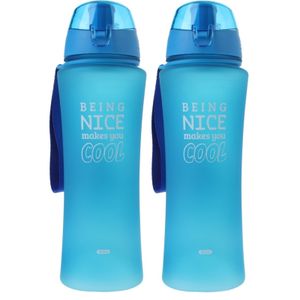 2x Blauwe bidon drinkflessen/waterflessen 480 ml