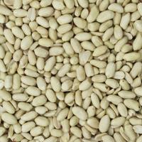 pinda's ongebrand 22,68 kg doos pinda's ongebrand 22,68 kg doos