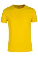 RAGMAN Regular Fit T-Shirt ronde hals geel, Effen