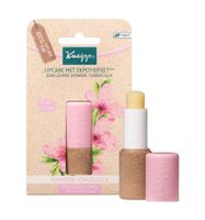 Lipcare almond candelilla