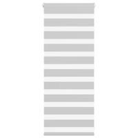 VidaXL Zebra rolgordijn 55x100 cm stofbreedte 50,9 cm lichtgrijs