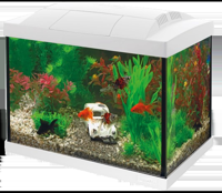 Superfish Start 20 aquarium wit
