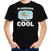 T-shirt flamingos are serious cool zwart kinderen - flamingo vogels/ flamingo shirt XL (158-164)  - - thumbnail
