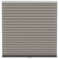 Leen Bakker - Fenstr Plisségordijn Chicago Dubbel 45mm Lichtdoorlatend - (30024) - Polyester - Taupe - 120x10x10 Cm