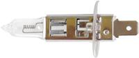 COREXX Car lamp h1 24v h1 base: p14.5s