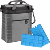 Koeltas van 32 x 35 x 17 cm grijs/zwart met 6x stuks koelelementen