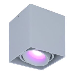 Smart WiFi LED opbouw plafondspot Esto Grijs incl. 5,5W GU10 RGBWW spot IP20 kantelbaar