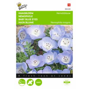 2 stuks Nemophila Insignis Hemelsblauw