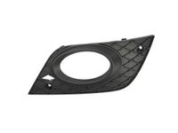 Ventilatiegrille, bumper 6502073538919P
