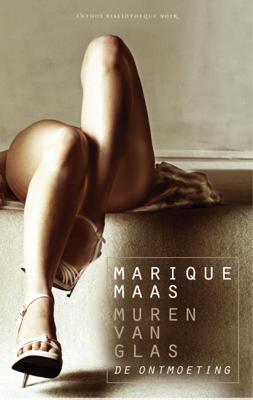 De ontmoeting (Paperback)