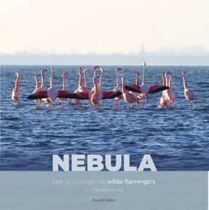 Nebula (Hardback)
