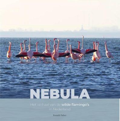 Nebula (Hardback)