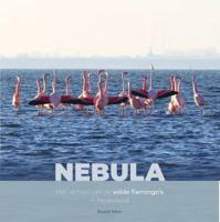 Nebula (Hardback)