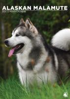 Alaskan Malamute A3 Kalender 2026