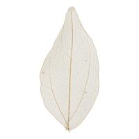 Creativ Company Skeleton leaves naturel gedroogde bladeren, 20st.