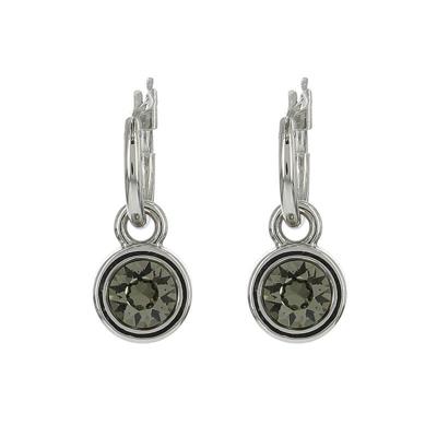 Biba Hang Oorbellen met Swarovski Steentje Bl. Diamond