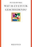 Wat is cultuurgeschiedenis? (Paperback)
