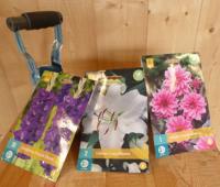 Cadeaupakket zomerbloembollen Gladiolen paars, lelies wit en Dahlia's roze Warentuin Mix - Warentuin mix