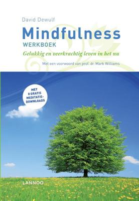 Mindfulness werkboek (Paperback)