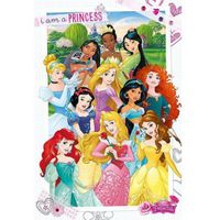 Feest versiering prinsessen poster - thumbnail