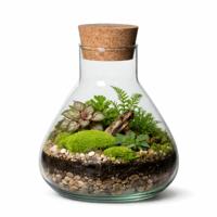 Atmosphera Vaas Terrarium - rond - met kurk - glas - D22.5 x H24 cm - transparant - kurk dop